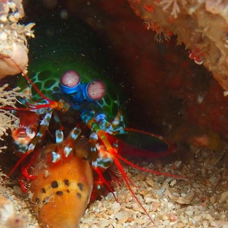 The High Dive Gili Gede By Ultimate Resorts エクステリア 写真