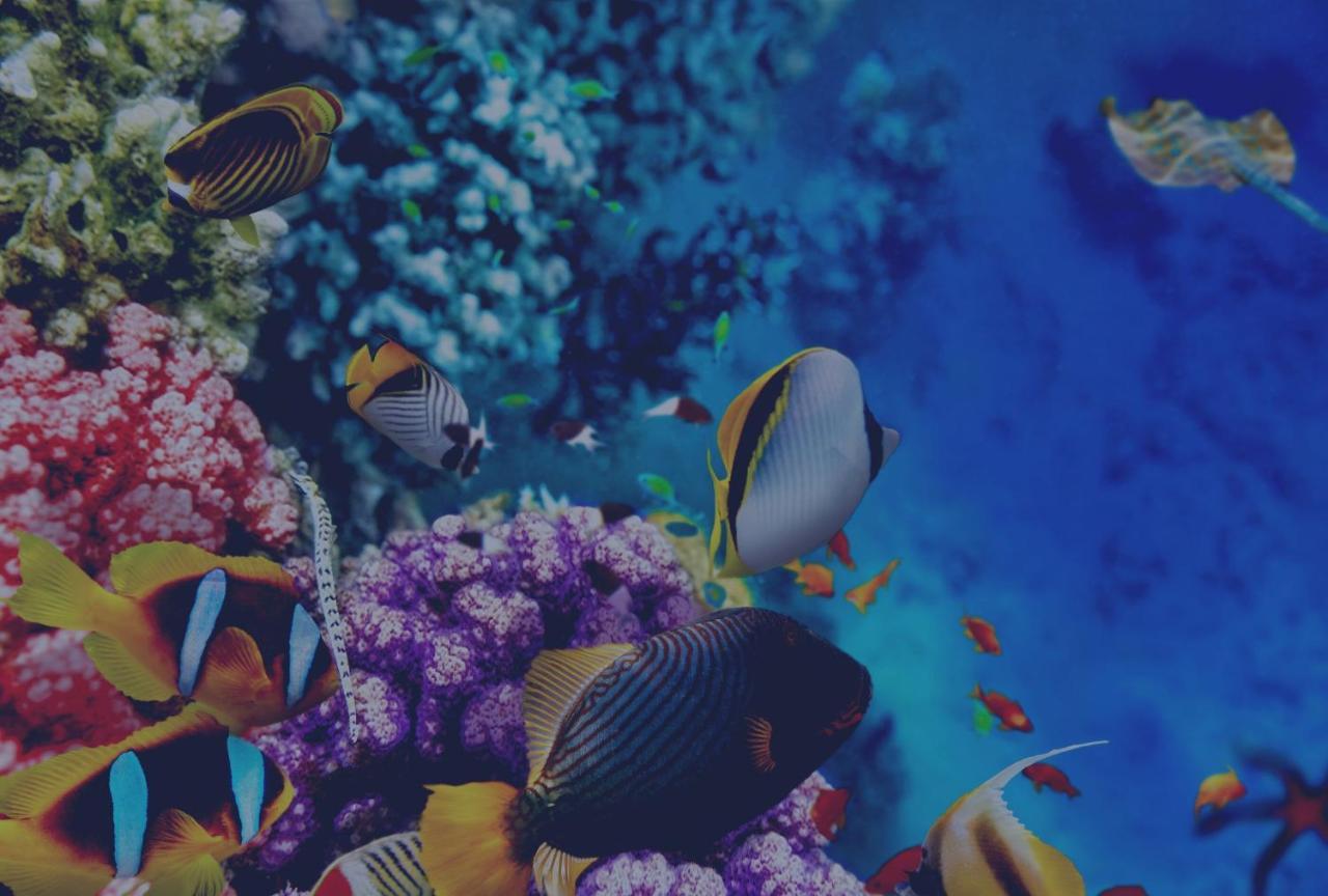 The High Dive Gili Gede By Ultimate Resorts エクステリア 写真