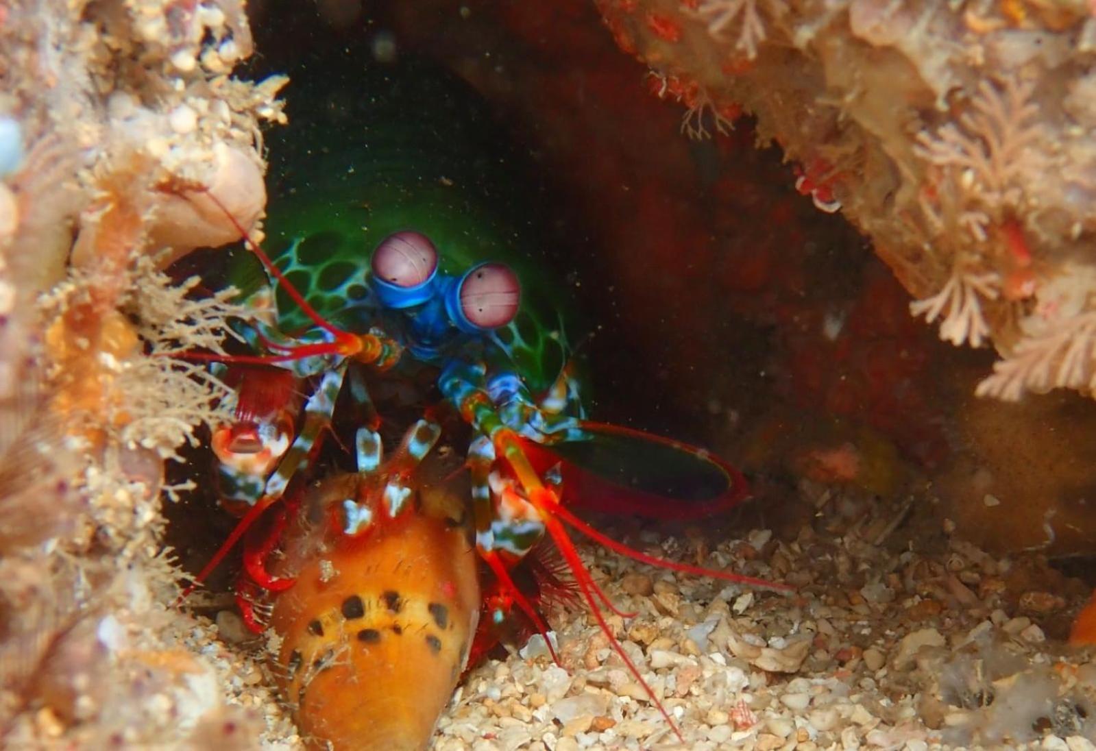 The High Dive Gili Gede By Ultimate Resorts エクステリア 写真